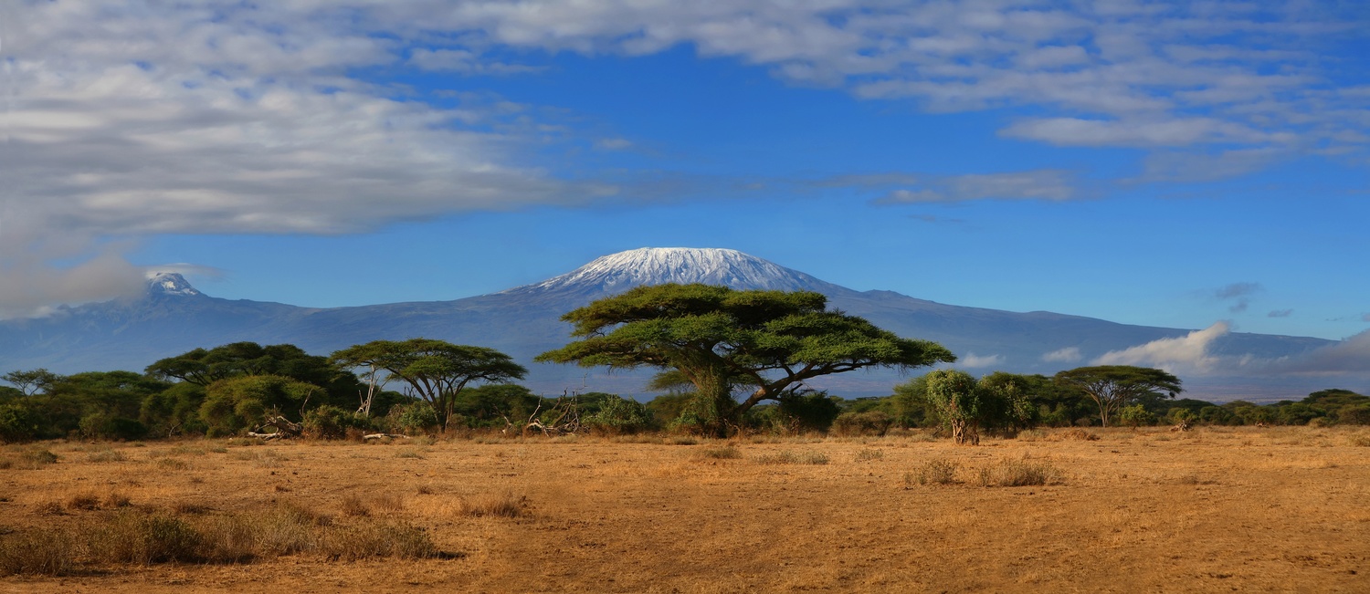 mount Kilimanjaro / ©MOIZ - stock.adobe.com, MOIZ - stock.adobe.com