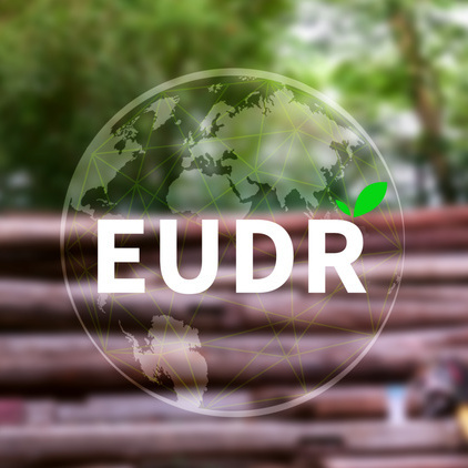 EUDR Environmental Responsibility and drinking coffee in European Union Concept, EU Deforestation Regulation EUDR, Sustainable practices and corporate environmental responsibility