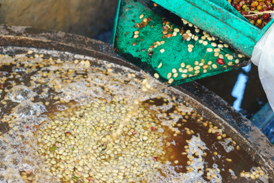 Red berries coffee bean process by small machine in village public factory