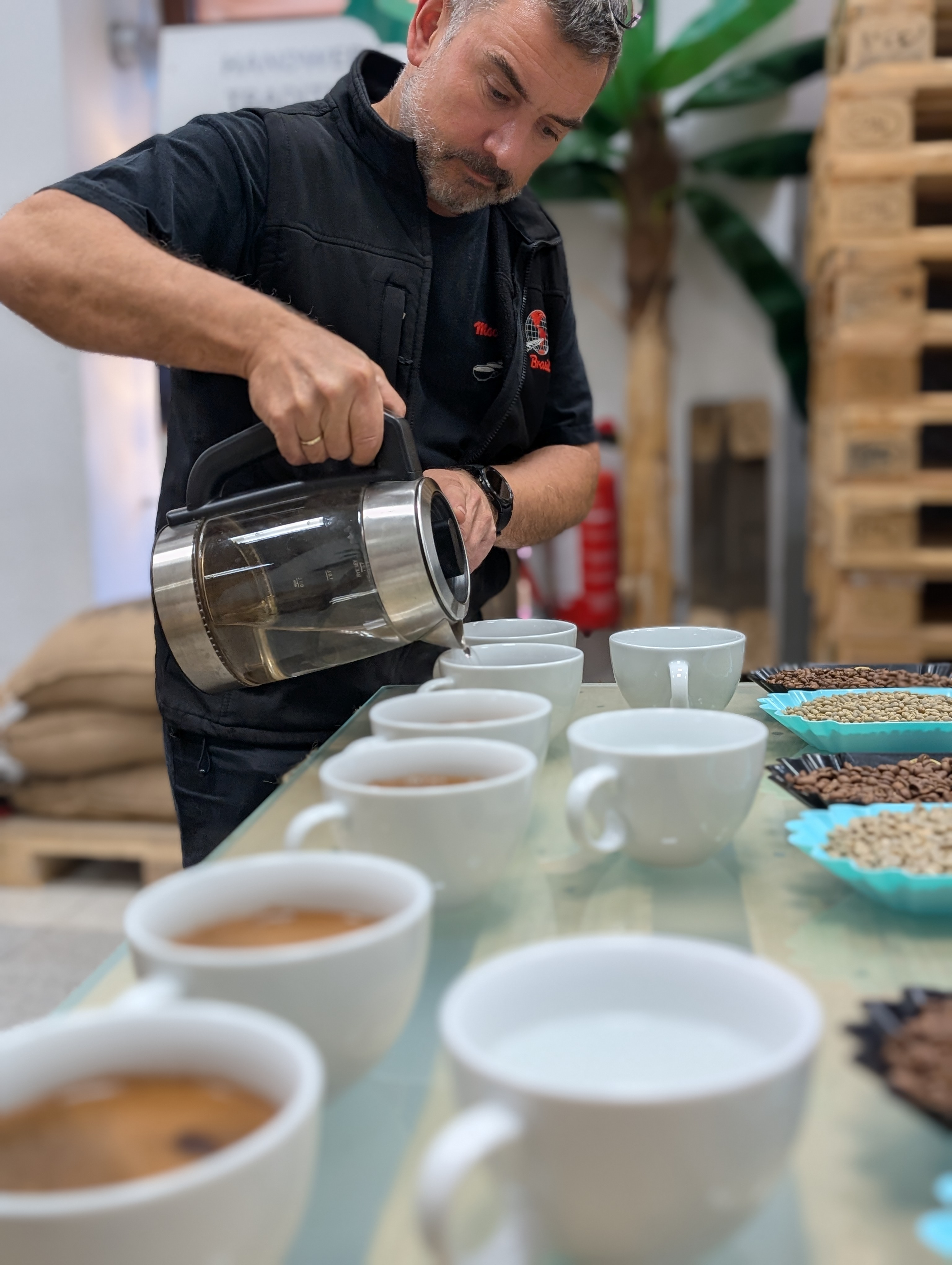 Mocca Brasil