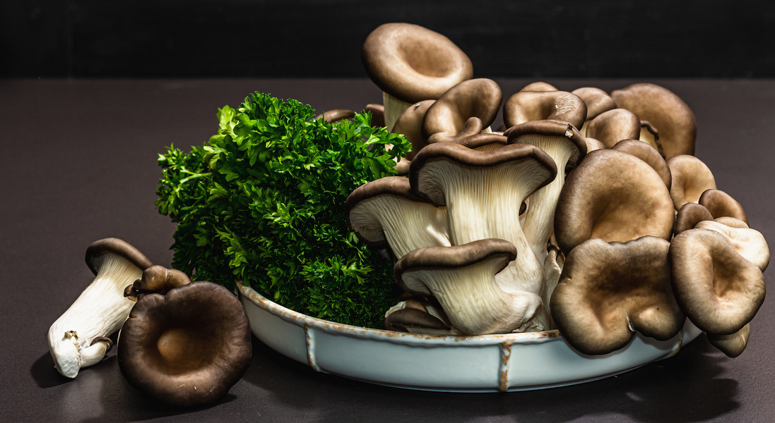 Delicious organic oyster mushrooms with fresh parsley. Source of beta glucan, black stone concrete background, close up