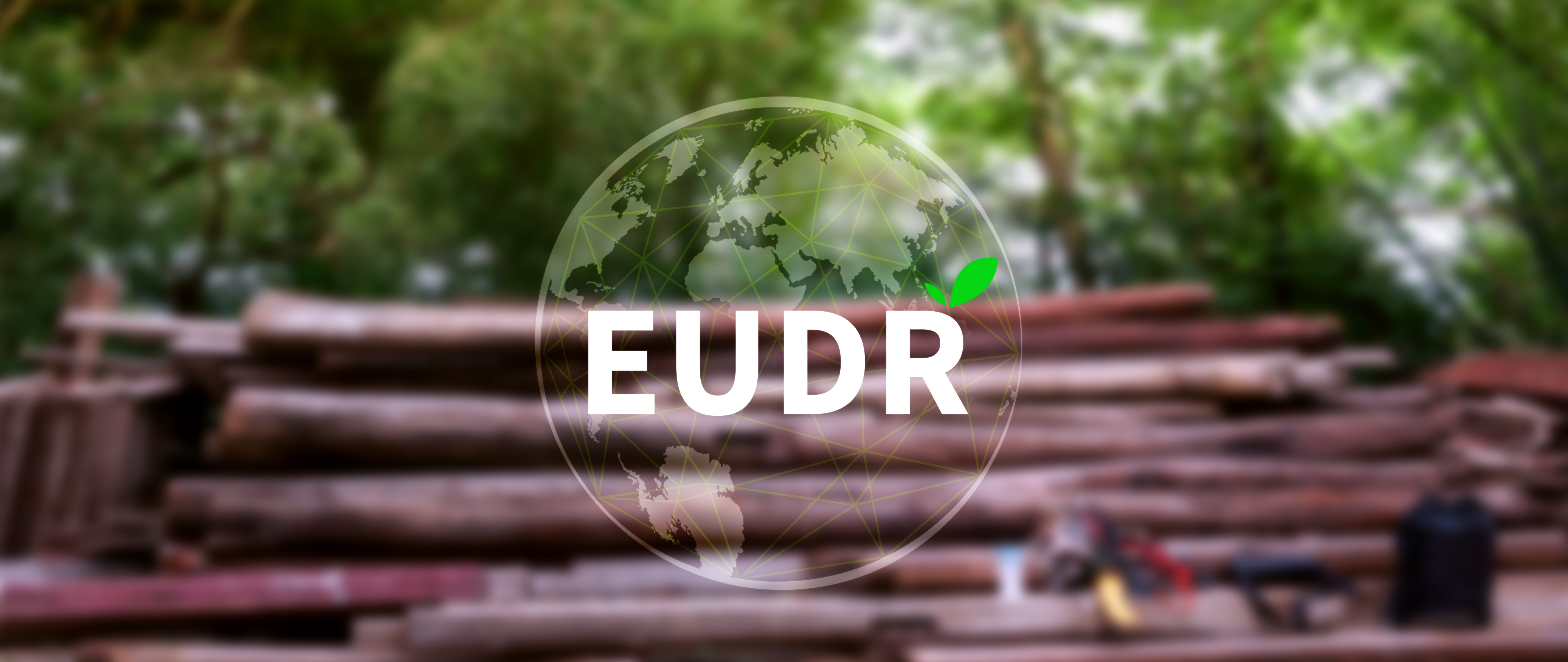 EUDR Environmental Responsibility and drinking coffee in European Union Concept, EU Deforestation Regulation EUDR, Sustainable practices and corporate environmental responsibility