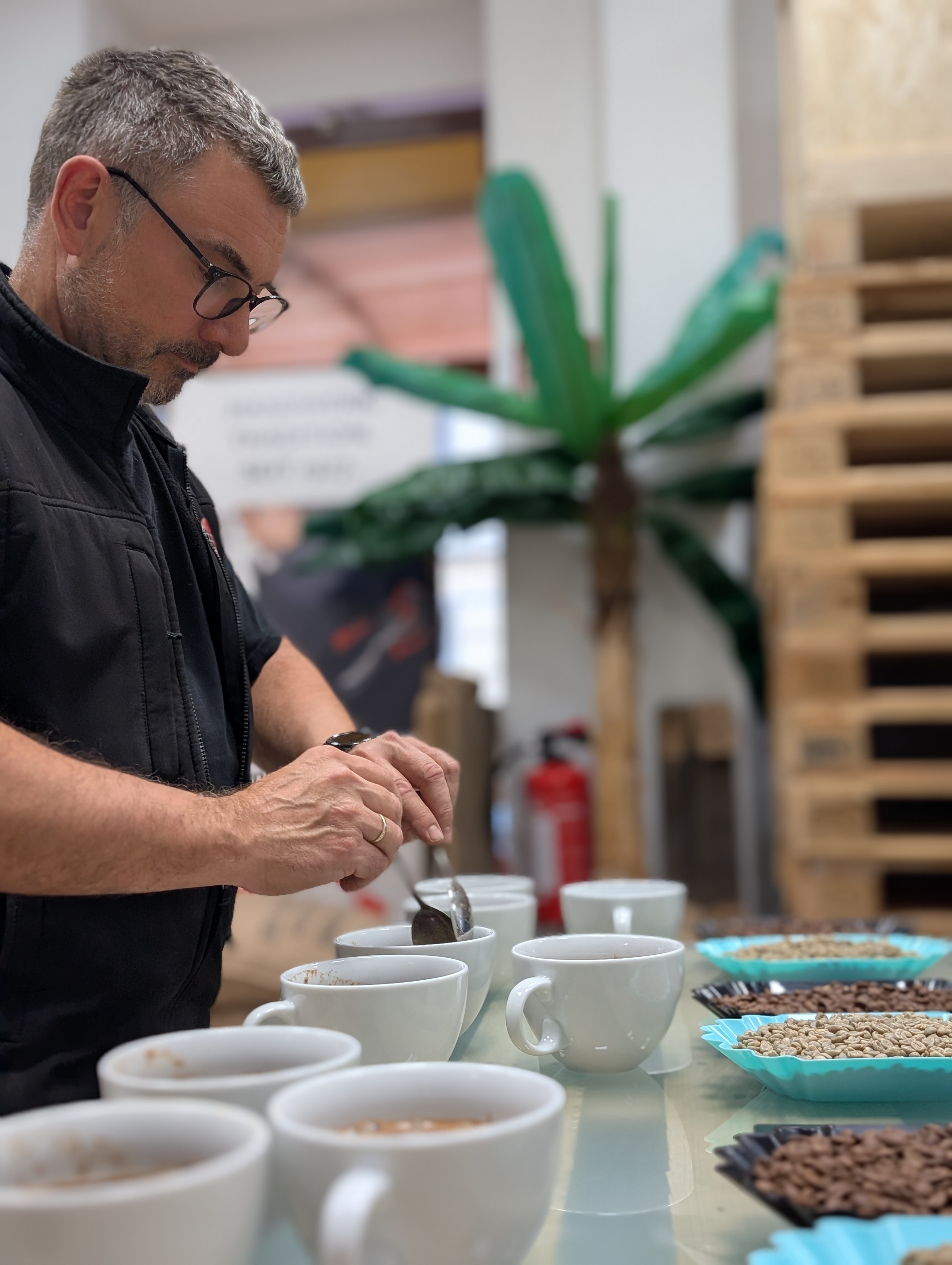 Mocca Brasil