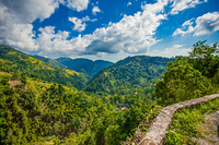 Blue mountains of Jamaica coffee growth place hills