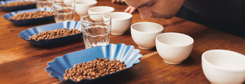 Wooden counter with rows of coffee cups and open containers with a variety of roastd coffee beans, with two baristas leaning close to cups of freshly ground coffee to take in the different aromas