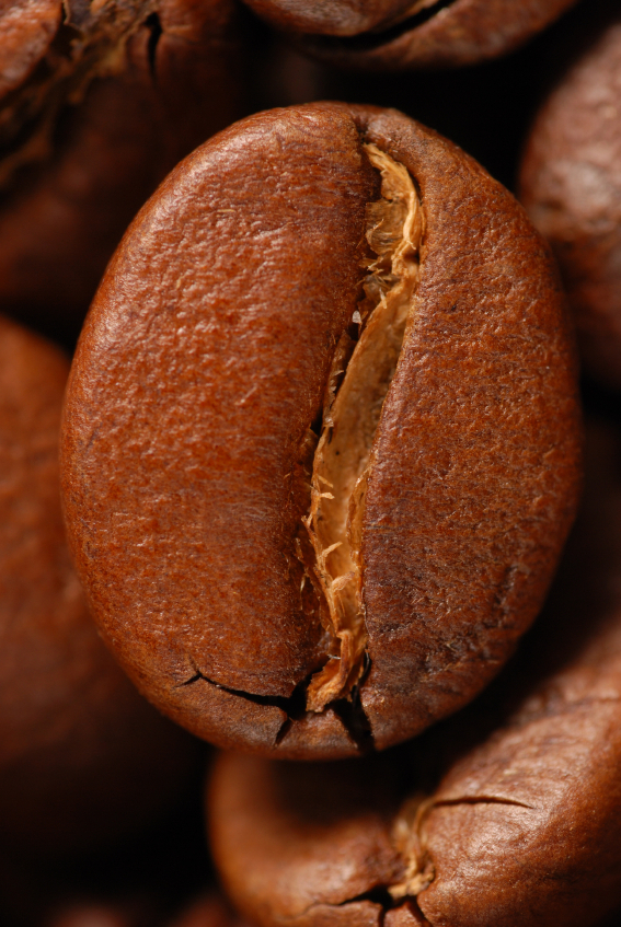 Coffee bean / iStock Photo Coffee bean extreme close up