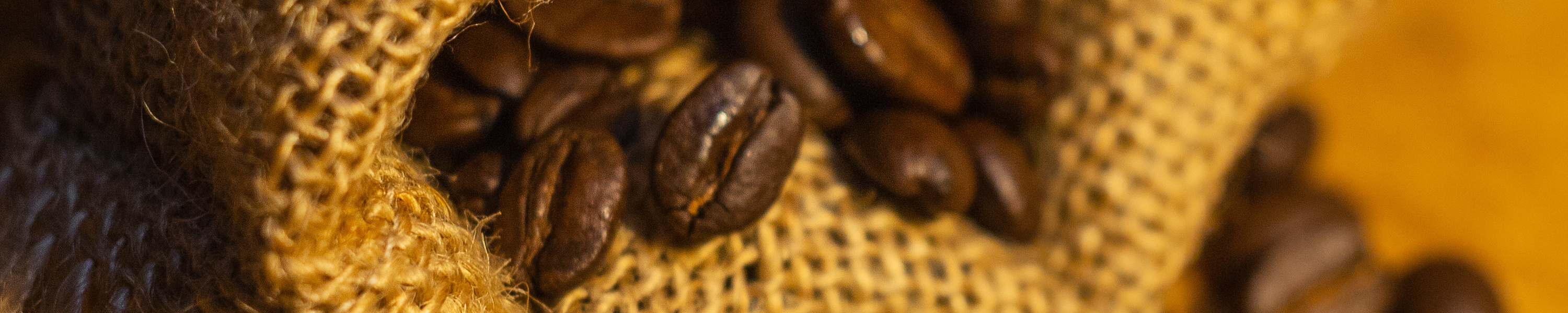 roasted coffee beans in jute bag / Tatiana Svetlichnaya - stock.adobe.com close up roasted coffee beans in jute bag in soft light
